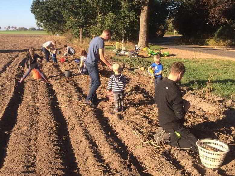 Kinder und Erwachsene auf Kartoffelfeld bei Ernte