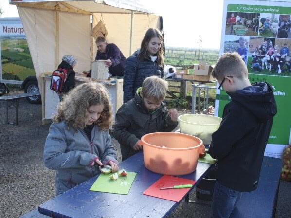 Drei Schüler der Grundschule schneiden Äpfel klein.
